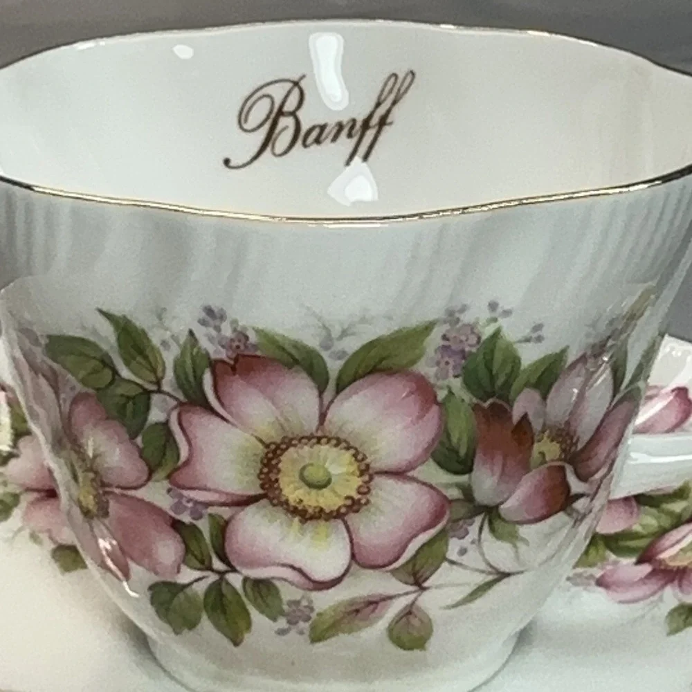 Queen's‎ Prairie Rose Tea Cup and Saucer Banff Alberta England Bone China